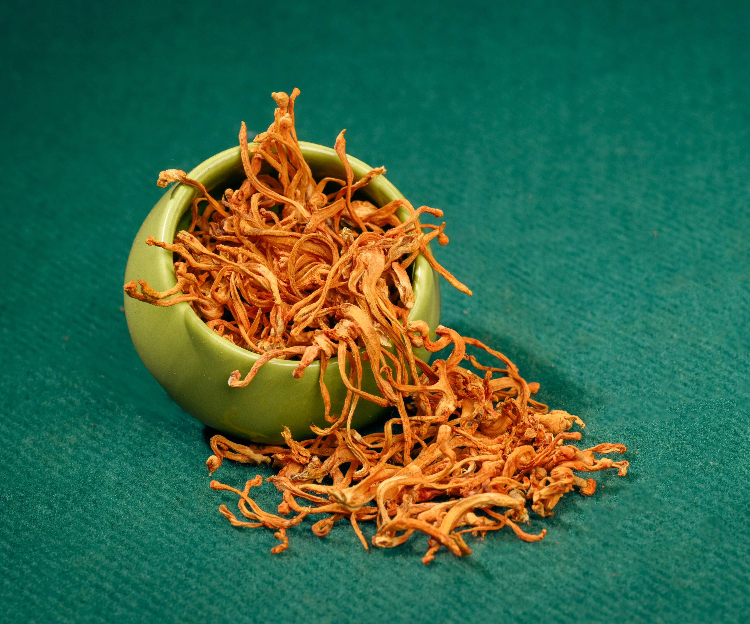 Brahm Agro & Biotech Facility