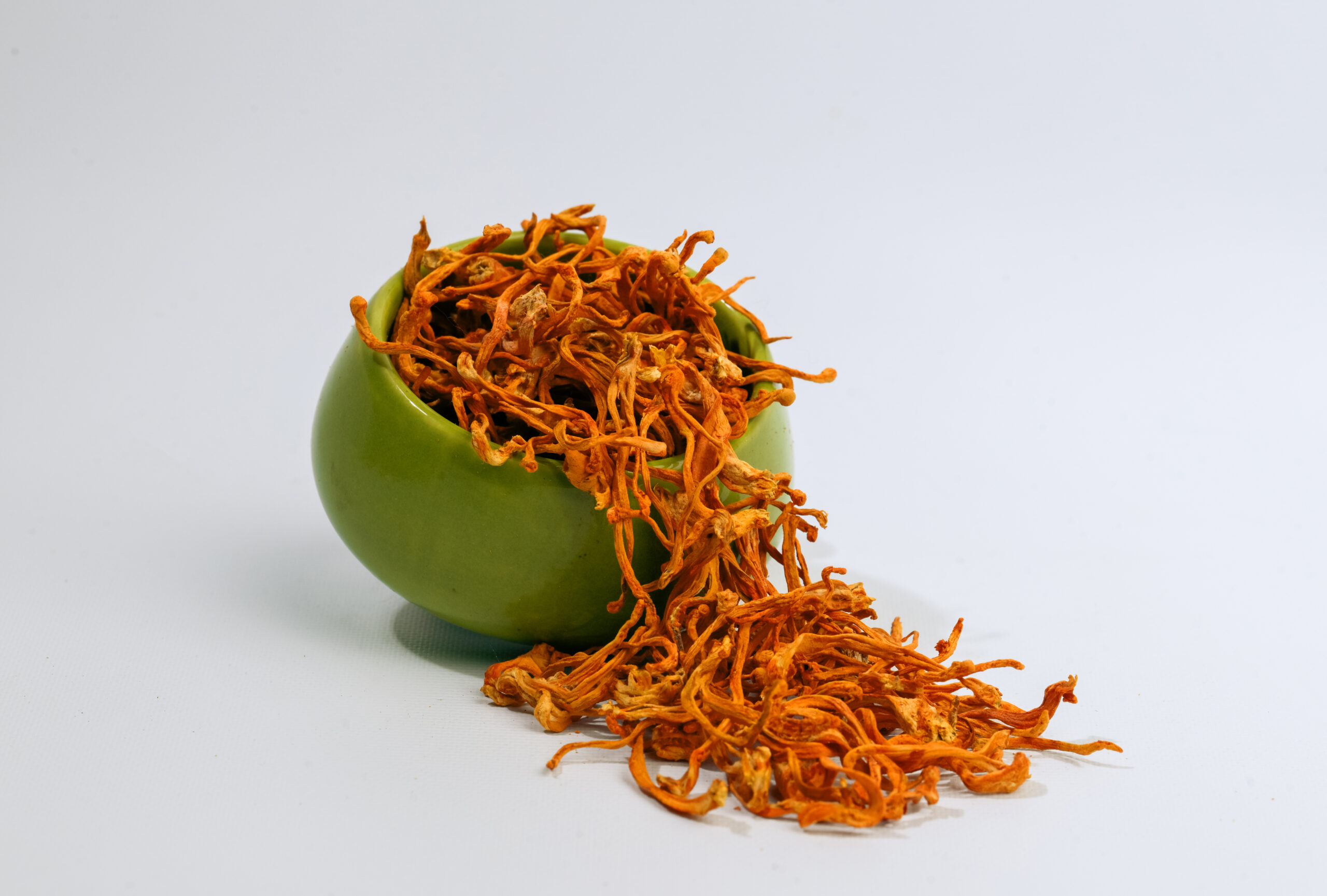 Himalayan Gold Cordyceps Militaris - Premium Quality Product